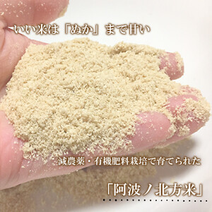 米ぬかふりかけ 3種 セット ふりかけ