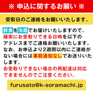 【B08002】産地直送！辺塚だいだいカンパチ(約3.5kg・1本) 鹿児島 国産 九州産 産地直送 カンパチ 勘八 魚 魚介 鮮魚 おかず 海産物【高山漁業協同組合】