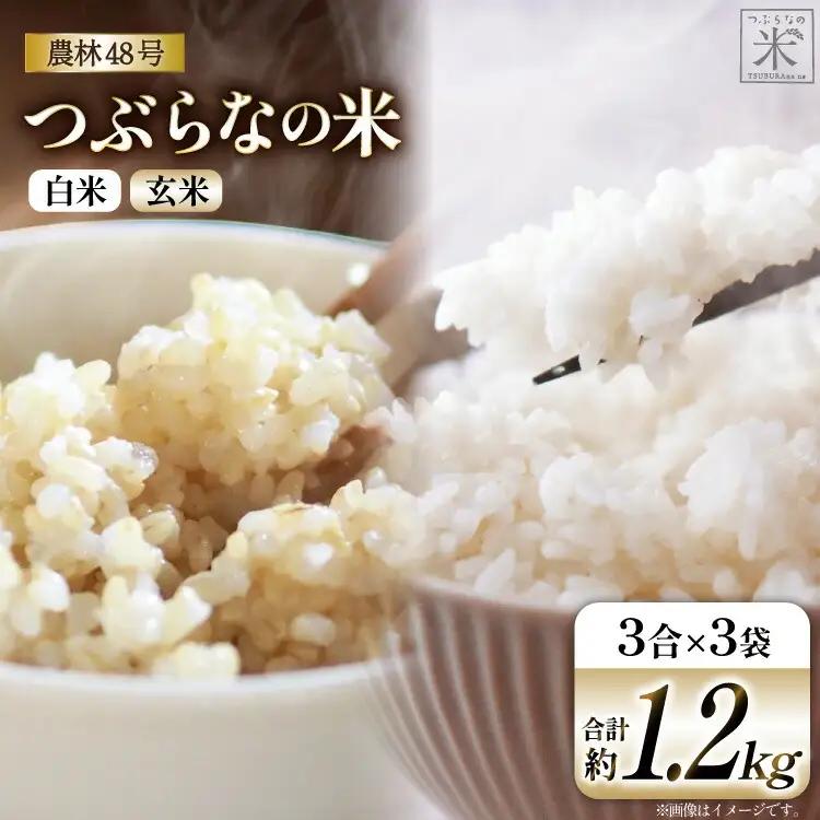 令和7年 農林48号 白米 3合 2袋 & 玄米 3合 1袋 計3袋