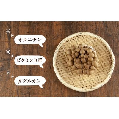 ふるさと納税 十日町市 はぴふるの国産乾燥きのこ ぶなしめじ 30g×3袋 新潟県十日町市 |  | 01