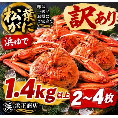 ふるさと納税 湯梨浜町 ■浜下商店■松葉ガニ2〜4枚〔浜ゆで〕◆訳あり◆(55MZ.)