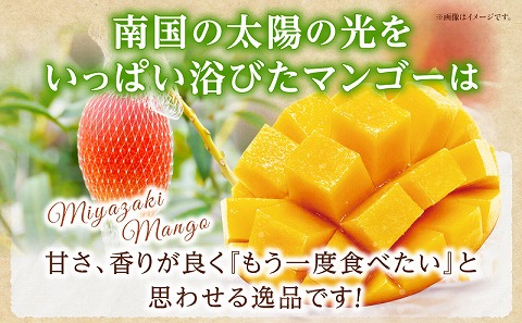 《2025年発送先行予約》【期間・数量限定】太陽のタマゴ 4Lサイズ 2玉_M354-001-03