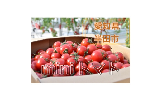 HANDAミラトマト3kg＜ミニトマト＞【1721956】