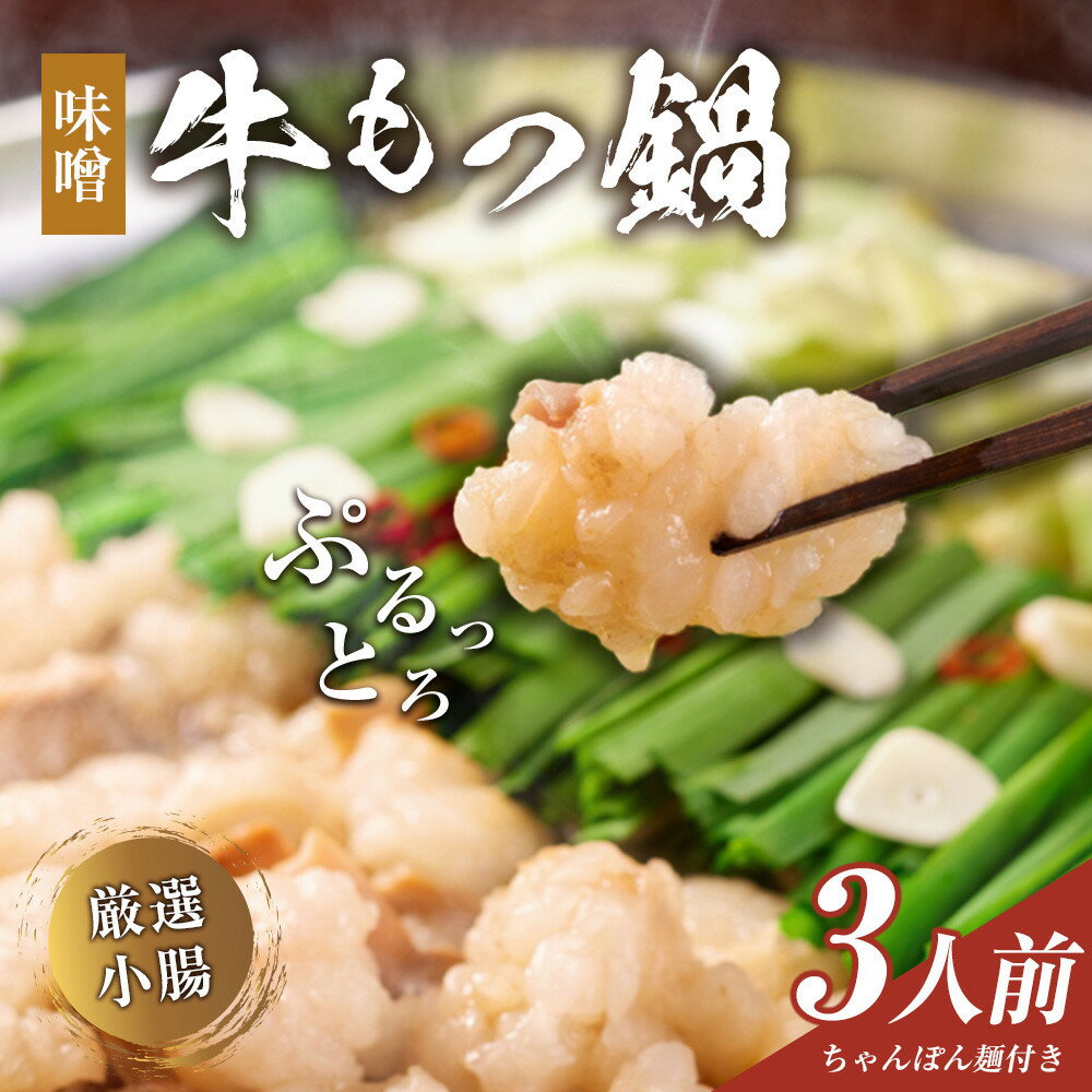 【ふるさと納税】もつ鍋（味噌）3人前セット | 食品 加工食品