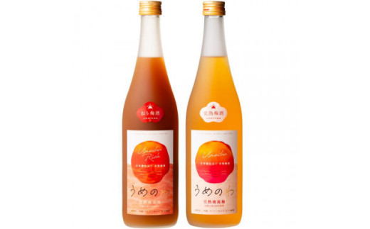 【紀州完熟南高梅使用】濃厚「ねり梅酒」と芳醇「梅酒」各720mlの飲み比べ【tecj1003A】