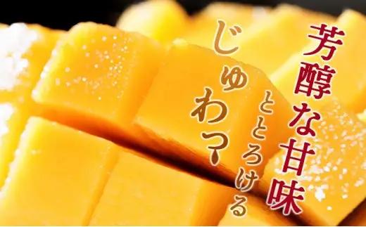 ＜先行予約＞糖度平均15度以上！高評価の宮崎完熟マンゴー（2L×2玉入・簡易箱入）_K005-021