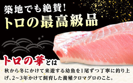 【全12回定期便】訳あり！対馬産 本マグロ 切り落とし 630g（9パック） ≪対馬市≫【桐谷商店】 トロの華 冷凍 新鮮 海鮮 小分け マグロ[WAQ038]