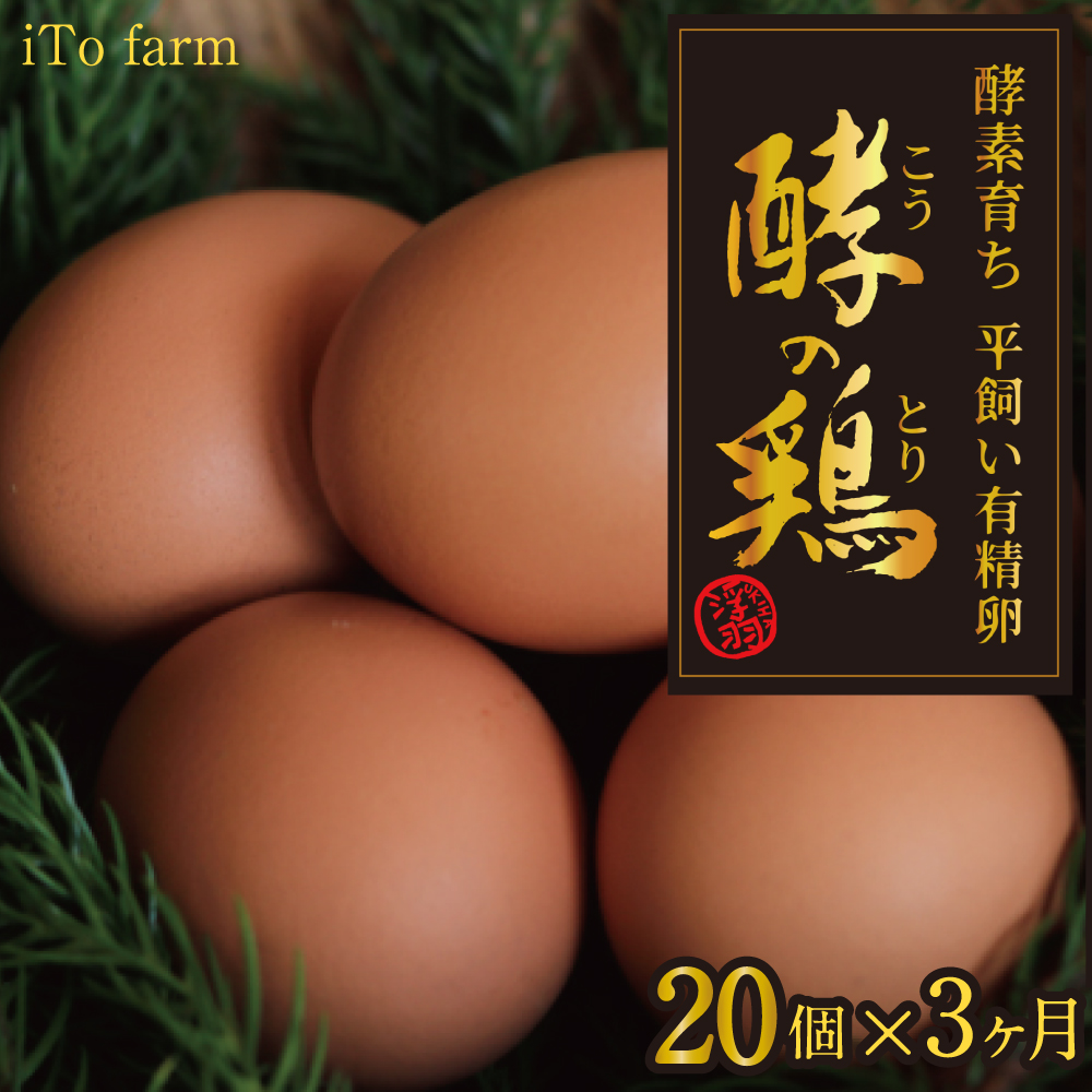 【3ヶ月定期便】iTo farm 酵の鶏 20個×3ヶ月お届け