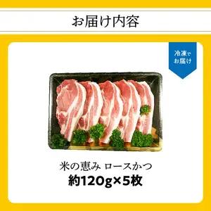 米の恵み　ロースかつ　約120g×5枚 A02011