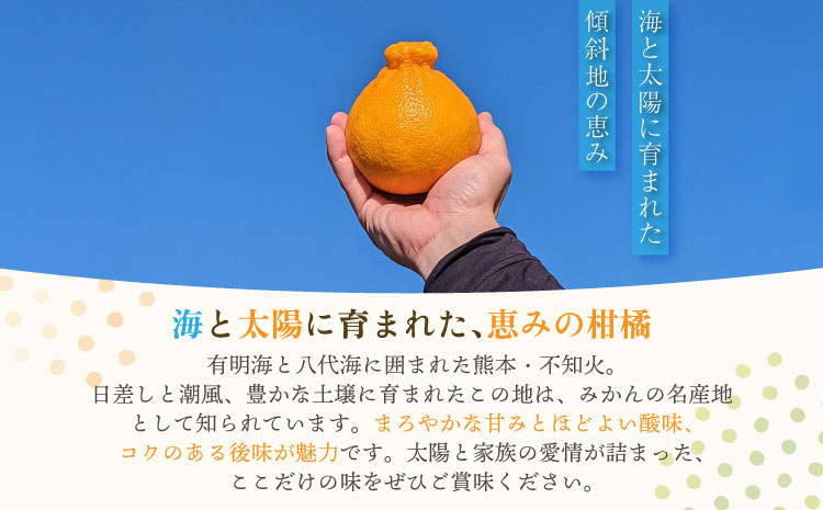 【先行予約】宇城市産  あーちゃん家の 不知火 5kg 【2026年4月上旬〜5月下旬発送予定】 しらぬい 柑橘 みかん ミカン 蜜柑 オレンジ 