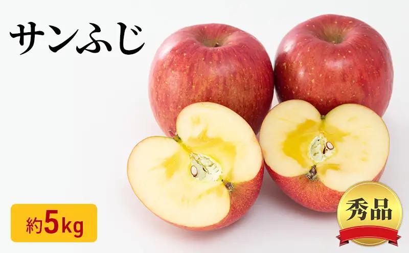 りんご サンふじ 秀品 約5kg 12～20玉入 リンゴ