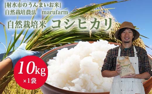 
                  【射水の美味しいお米】【自然栽培農法】自然栽培農家 marufarm 自然栽培米「コシヒカリ」10kg｜米 お米 新米 令和8年産米 ブランド米 銘柄米 精米 コシヒカリ こしひかり こめ お中元 ギフト ご飯 ごはん 10kg 10キロ 人気 ランキング 北陸 富山 送料無料 富山県 射水市 人気米 米10kg 富山米 人気コシヒカリ コシヒカリ5kg 北陸コシヒカリ ※2026年10月～発送
                