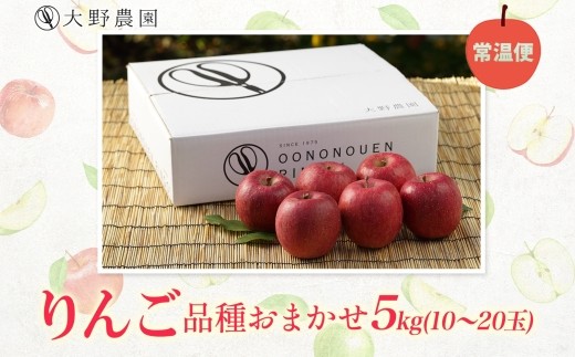 りんご5kg（品種お任せ）10～20玉