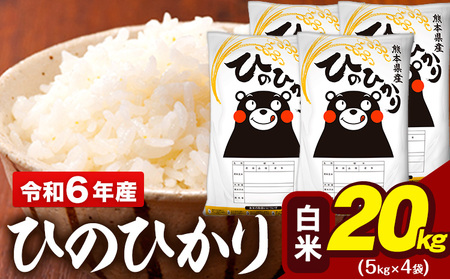 令和6年産 白米 米 ひのひかり 20kg (5kg袋×4)《7-14日以内に出荷予定(土日祝除く)予定》熊本県 大津町 国産 熊本県産 白米 精米 送料無料 ヒノヒカリ こめ お米