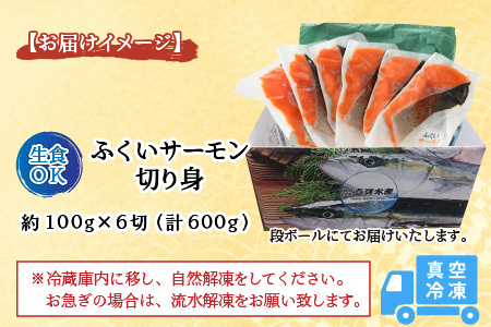 【先行予約】ふくいサーモン切り身 600g  (100g×6切) ＜鮮度抜群！アレンジ自在！真空冷凍＞ ／ 生食OK 刺身 焼き魚 鮭 国産※2024年6月中旬以降順次発送