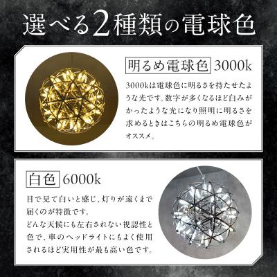 ふるさと納税 小牧市 屋外対応の輝くLEDシャンデリア|でんらい WPP035 白色[172C07-02] |  | 02