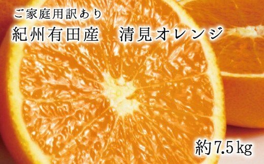 
										
										【ご家庭用訳アリ】紀州有田産清見オレンジ 7.5kg ※2025年3月下旬〜2025年4月中旬頃に順次発送予定(お届け日指定不可)【uot730】
									