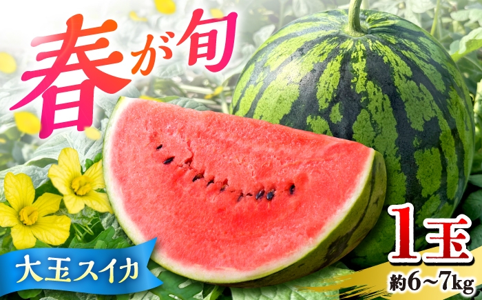 
                  【先行予約】 春の大玉スイカ 約6～7kg（L） すいか 大玉 フルーツ 野菜 果物 山鹿市 【山下農園】 [ZGA002]
                