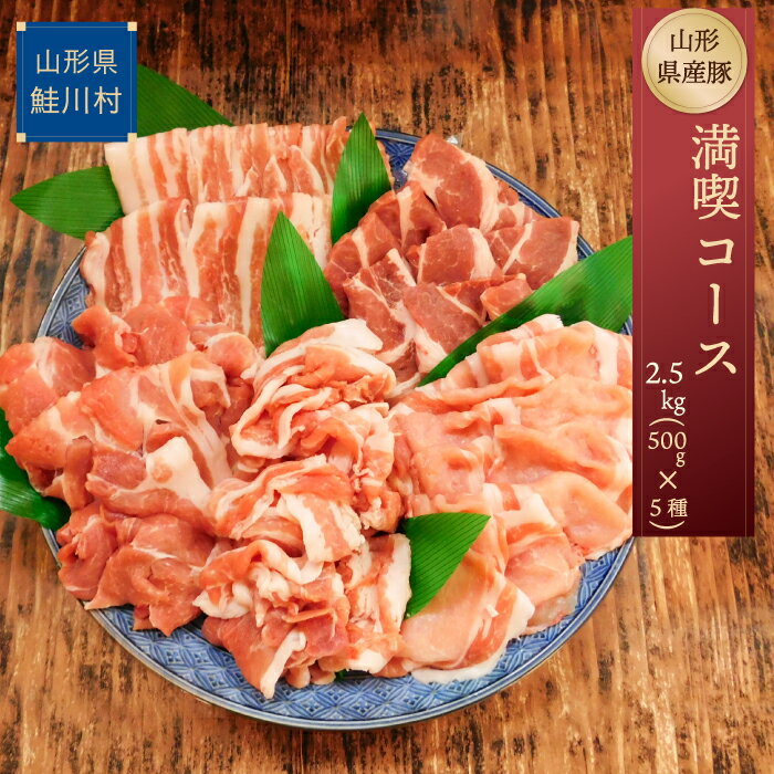 【ふるさと納税】山形県産豚　満喫コース2.5kg！（500g×5種）