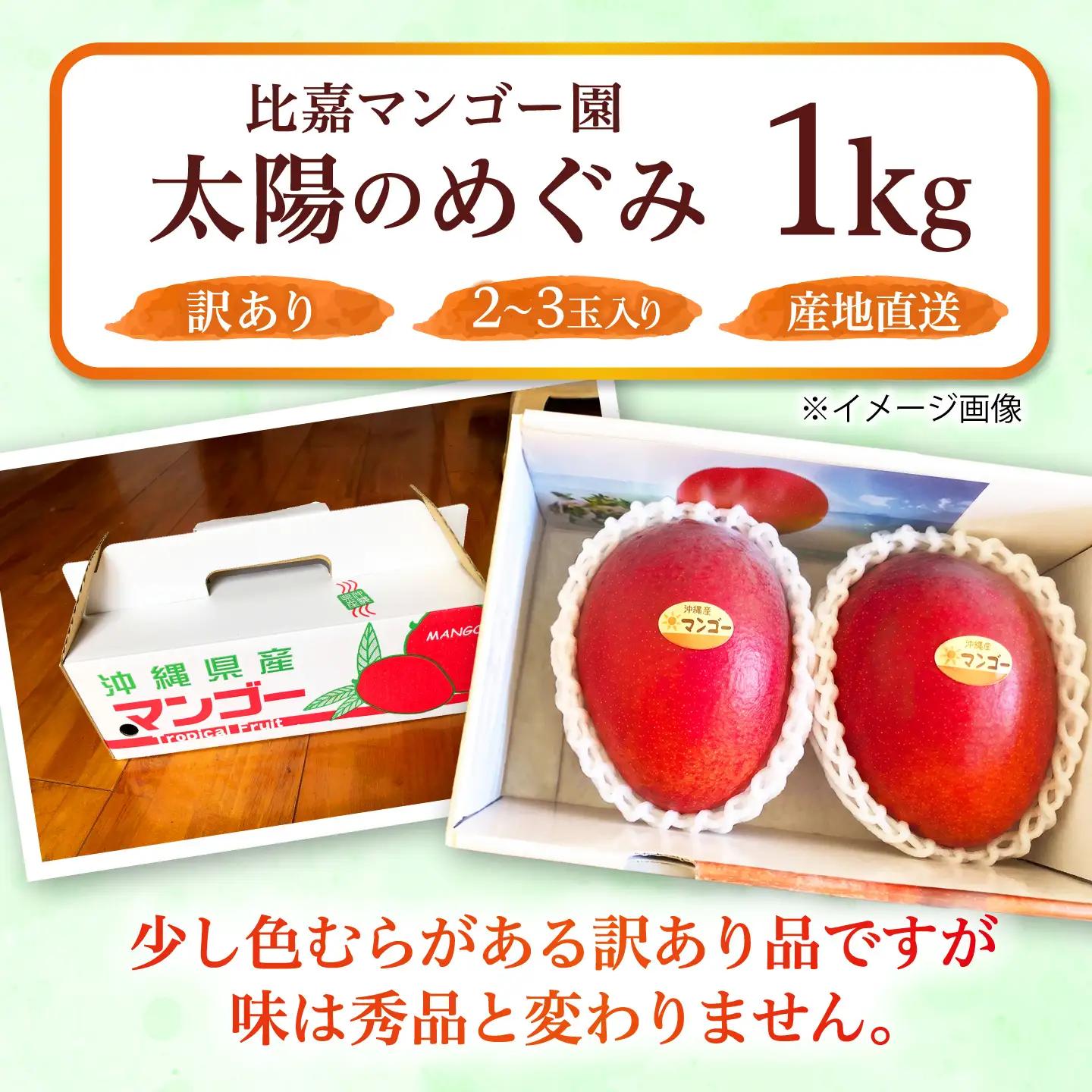 【訳あり】マンゴー 太陽のめぐみ 1kg BCEW003