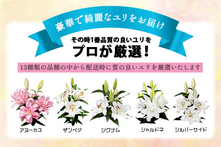 【生産者直送】【幸せと笑顔を届けるオリエンタルリリィ（約5本）】 ユリ 百合 花 切り花 フラワー 艶やか 美しい 華やか 可憐 鮮やか 長持ち 強い 有機肥料 自然 人気 ラッピング プレゼント 贈