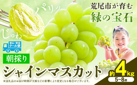 【先行予約】 シャインマスカット 約4kg（5～8房） 《8月下旬-9月末頃出荷》大容量 シャインマスカット フルーツ シャインマスカット 期間限定 シャインマスカット 前田果樹園