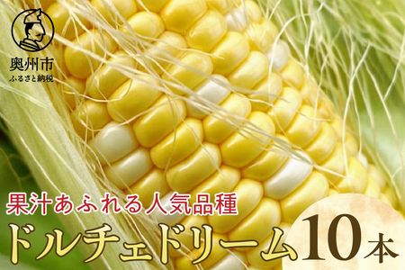 【先行予約】とうもろこし ドルチェドリーム10本 【数量限定】 2025年7月下旬から出荷 離島配送不可 [T0017]