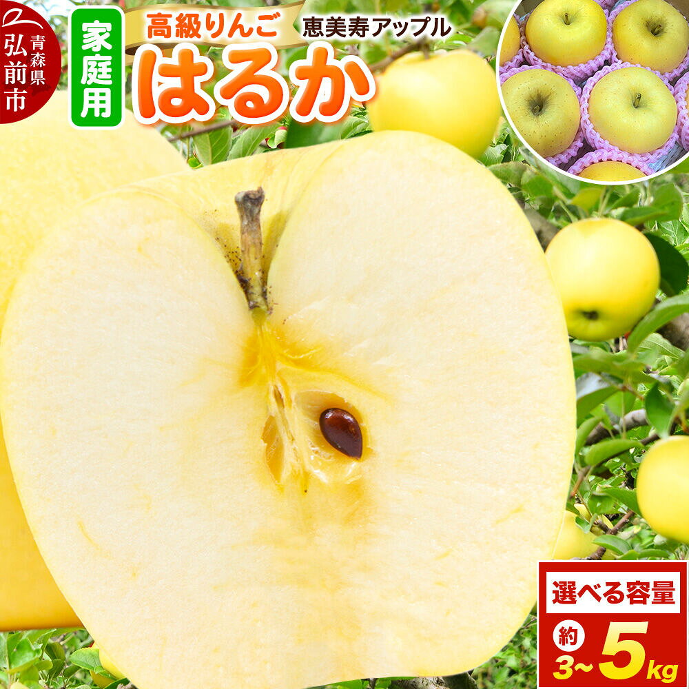 【ふるさと納税】りんご【26年12月発送】高級りんご はるか【家庭用】【選べる約 3kg／5kg】先行予約 先行受付 青森県 弘前市 果物 フルーツ 林檎 リンゴ くだもの ギフト 贈り物 [先行予約 産地直送 アップル おいしい 果実 美味 甘い]