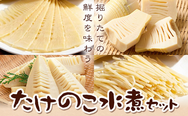 たけのこ水煮セット トライカット ブロック スライス 細切り 穂付こさんホール こさんスライス 北さつま農協《30日以内に出荷予定(土日祝除く)》鹿児島県 さつま町 たけのこ 水煮 和食 洋食 中華 詰め合わせ セット