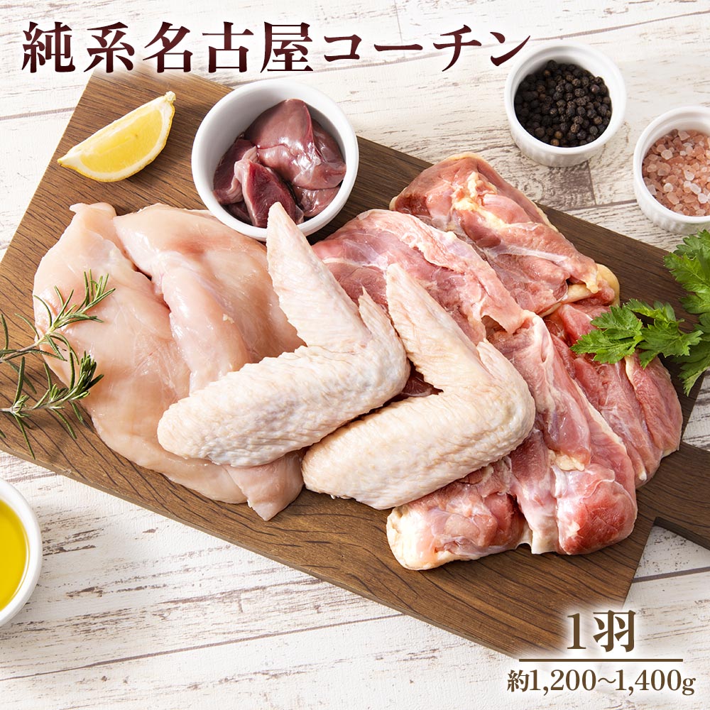 【ふるさと納税】純系名古屋コーチン (1羽)｜コーチン 鶏肉 鳥肉 とり肉 塊肉【0873】