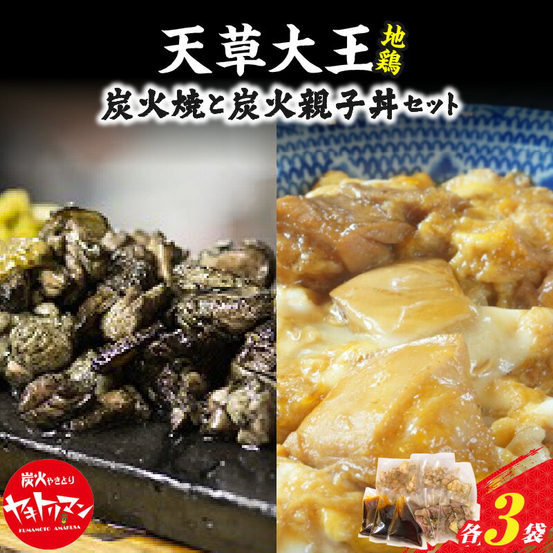 【ふるさと納税】鶏肉 親子丼 セット 炭火焼 120g 3袋 親子丼の素 150g 3食分 地鶏 真空包装 天草大王