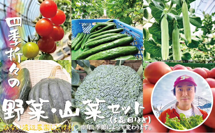 【ふるさと納税】四季折々の野菜・山菜セット（5品目ほど）【45P3203】【ひない渡辺農園しどけ村】