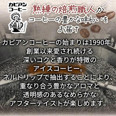 ふるさと納税 ひたちなか市 【毎月定期便】カピアンオリジナルアイスコーヒー1L×6本(計6000ml)全3回 |  | 01