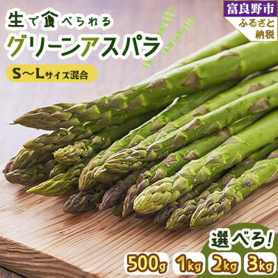【ふるさと納税】【500g～3kg】2026年先行予約「生」で食べられる富良野産グリーンアスパラ(S～Lサイズ混合)【配送不可地域：離島】【G1633261】