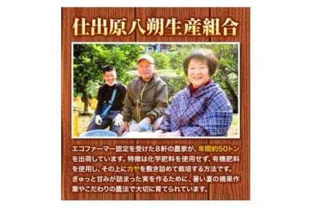 ＜ 先行予約 ＞ 八朔 はっさく 10kg 《2026年2月上旬‐2026月3月上旬頃出荷》仕出原八朔生産組合 徳島県 美馬市 果物 くだもの フルーツ 特選 ゼリー ジュース ピール st-p