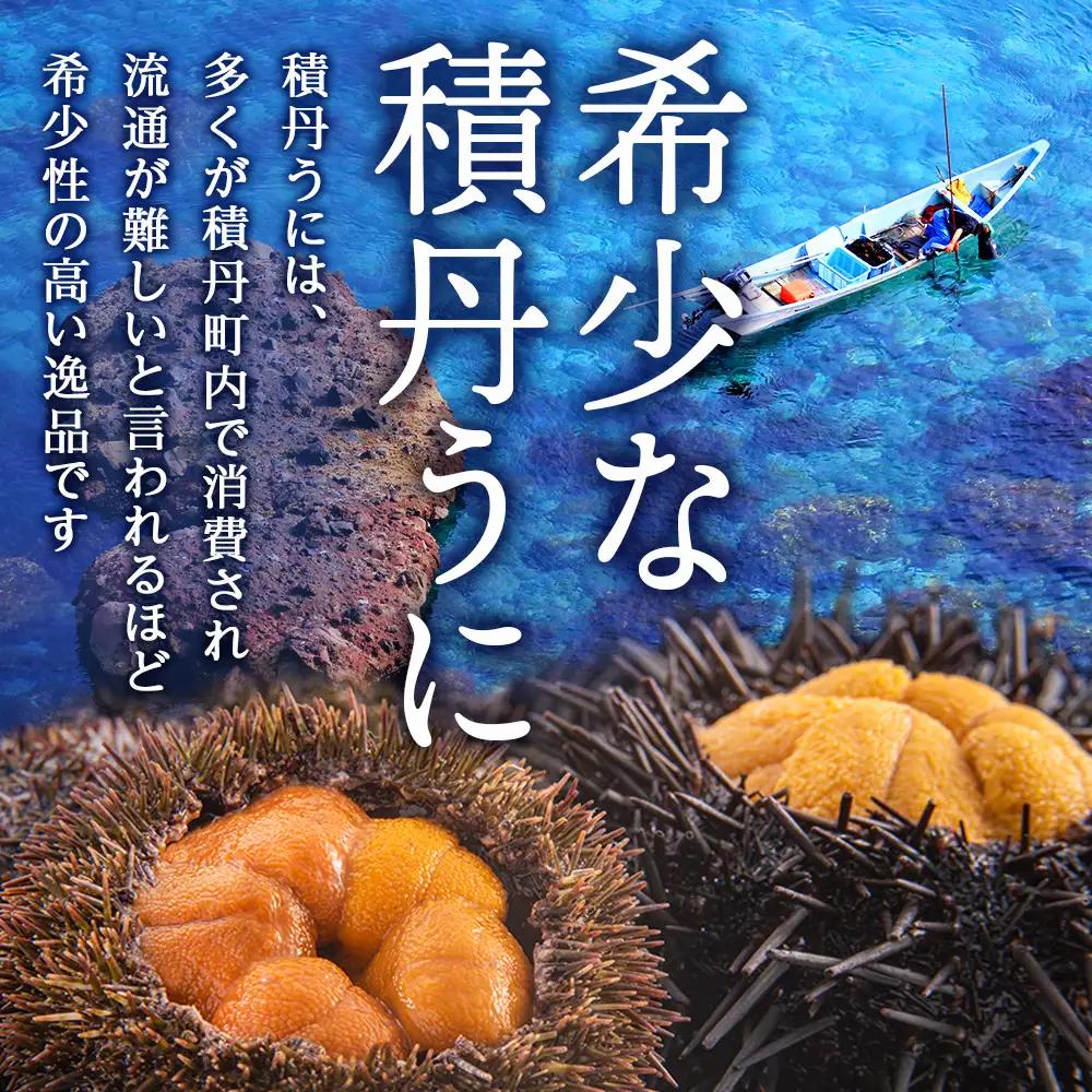 【2027年夏発送分】バフンウニ・ムラサキウニ 各100g×2パック