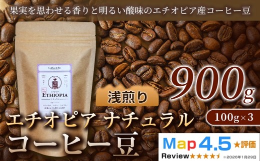 エチオピア ナチュラル（100g×3袋）×3セット