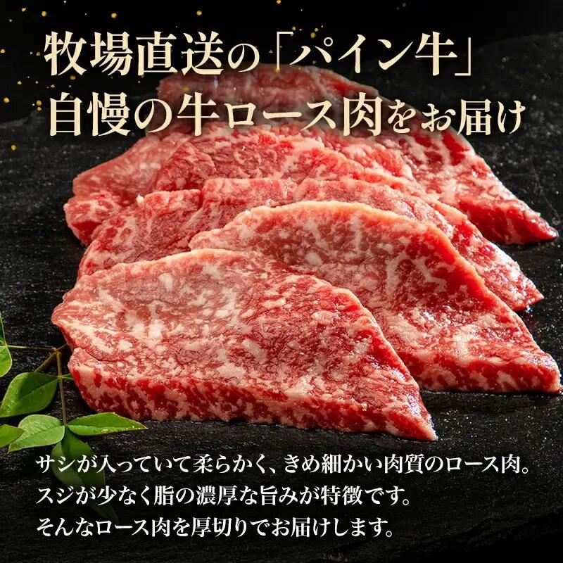 牛肉 焼肉 牛肉[黒毛和牛 パイン牛 ロース 500g 宮崎県産]