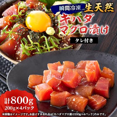 ふるさと納税 茨木市 《800g》瞬間冷凍生天然キハダマグロ漬け(200g×4パック)タレ付き　小分け便利