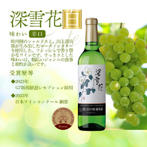 酒 岩の原ワイン 深雪花 ハーフサイズ 12本セット (赤×4本、白×4本、ロゼ×4本 各360ml) ワイン 新潟 上越 最短3日で発送