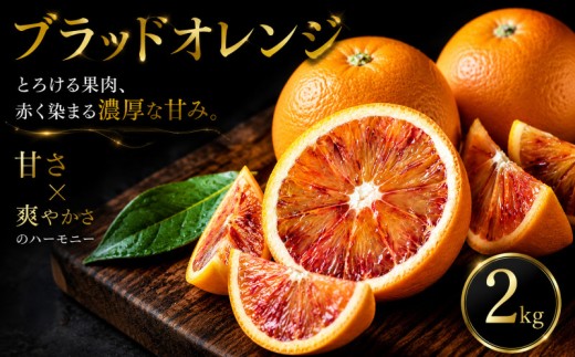 【いま注目されています】 ワインのような深み 【ブラッドオレンジ】 2kg 愛媛県産 【2027年2月下旬頃から順次発送】 | みかん ミカン mikan 蜜柑 訳ありフルーツ 柑橘 果物 おすすめ 