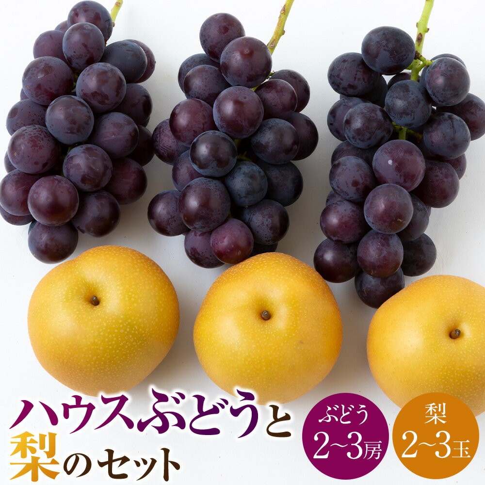 【ふるさと納税】【先行予約】種あり ハウスぶどう （2～3房） 梨 （2～3玉） セット 【2026年8月下旬より順次発送予定】【春光園】 有機配合肥料使用 ぶどう ブドウ 葡萄 巨峰 梨 なし 果物 フルーツ 詰め合わせ 冷蔵 送料無料 福岡県 うきは市
