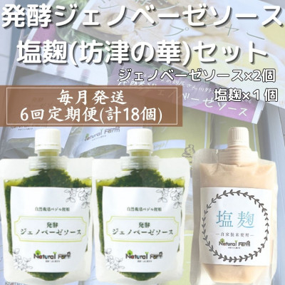 
＜毎月定期便＞ ジェノベーゼソース & 塩麹 全6回 FF-6025 _ 冷凍 バジルソース メボウキ ジェノベーゼ ソース 米 麹 こうじ 塩こうじ 調味料 発酵食品 料理 パスタソース パスタ 手作り ギフト 贈り物 贈答 鹿児島県 枕崎市 【4050290】
