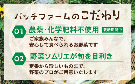 【定期便 】旬彩野菜セット定期便6回 旬の野菜 7品目以上