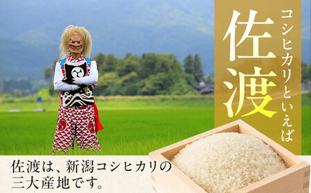 【令和8年産新米　定期便・先行予約】佐渡産コシヒカリ 無洗米真空パック 900g×6袋　全3回