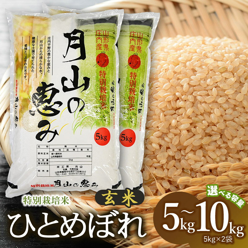 【ふるさと納税】令和8年産 新米 特別栽培米 ひとめぼれ 玄米 【選べる容量：5kg(5kg×1袋)／10kg (5kg×2袋)】 2026年産 | 山形県 鶴岡市 ブランド米 お取り寄せ ご当地 お米 おこめ 特栽 コメ 単一米 10キロ