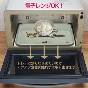 ネコダラトレイM角＆コースター 各1枚セット「箱にはもれなく入っている」 ネコだらけ 猫グッズ