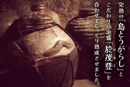 おばあちゃんの”てぃだくーす”（ねりタイプ）＆（泡盛漬けタイプ）完熟、泡盛仕立て調味料【 沖縄 石垣島 自社農園 天然 スパイス 辛い 泡盛 調味料 】YZ-3