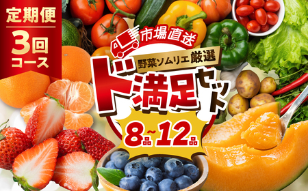 【定期便】 旬の野菜 フルーツ 詰め合わせ ～ 12品 野菜ソムリエ 厳選 野菜セット | メロン いちご トマト アスパラガス トウモロコシ 玉ねぎ 国産 人気 ランキング やさい 野菜 果物 フルーツ 定期便