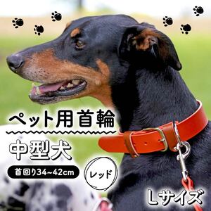 【本革首輪】　中型犬用　マイスタープラス　レザーカラー　＃２４　レッド【 ペット 大阪府 松原市 】